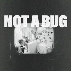 Not A Bug