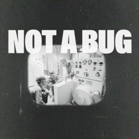 Not A Bug