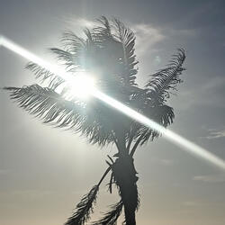 Nadiesabeloquesiento