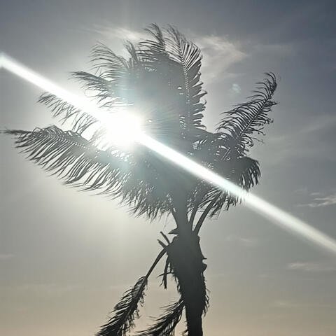 Nadiesabeloquesiento