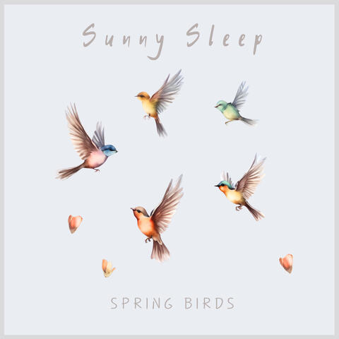 Spring Birds