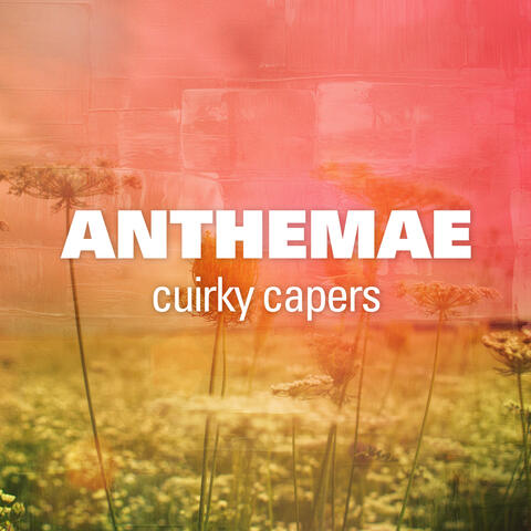 Anthemae: Quirky Capers