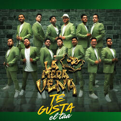 Te gusta el taa