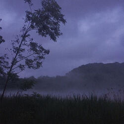 silhouette - sped up