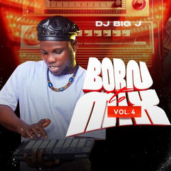 BORN TO MIX VOL4