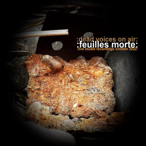 :feuilles morte: