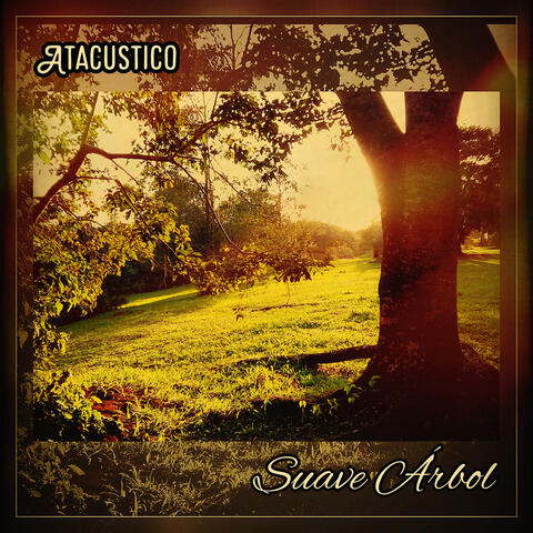 Suave Árbol