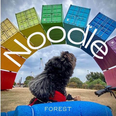 Noodle