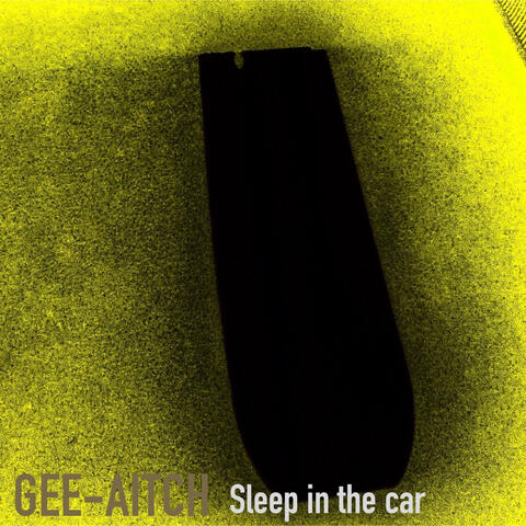 Sleep In The Car