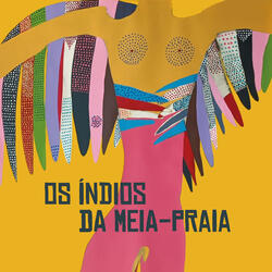 Os Índios da Meia-Praia