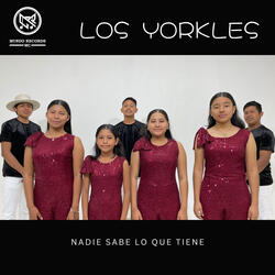 Nadie Sabe Lo Que Tiene