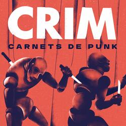 Carnets de Punk