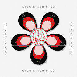 Steg etter steg