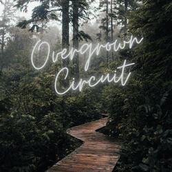 Overgrown Circuit