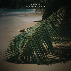 Tropical Love