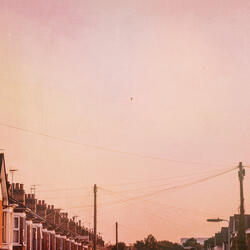 the street where we grew up