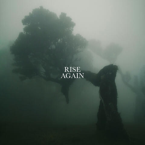 Rise Again (feat. RIIVA)