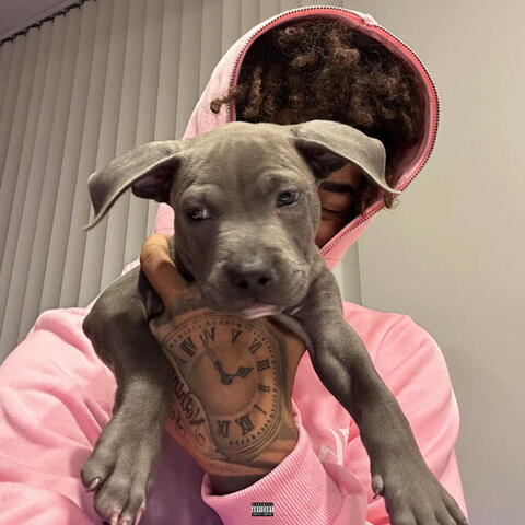 Dolo