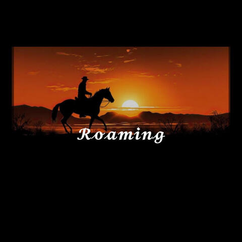 Roaming