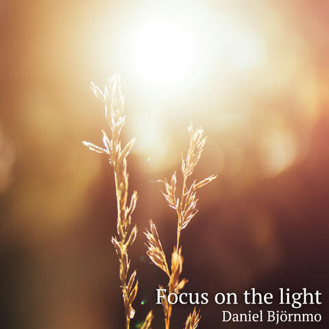 Focus on the light