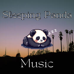 Sleeping Panda’s Tranquil Journey