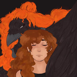 theory of the universe