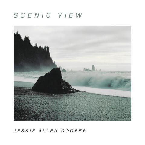 Scenic View