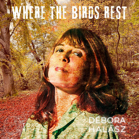 Where the Birds Rest