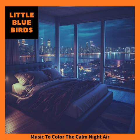 Music To Color The Calm Night Air