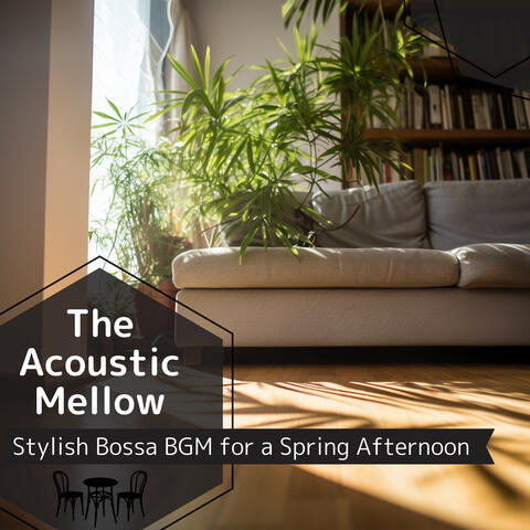 Stylish Bossa BGM for a Spring Afternoon