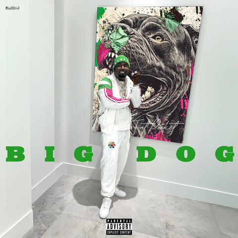 Big Dog