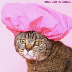 My Cat Broke My Computer Again