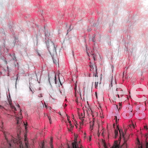 May Tree