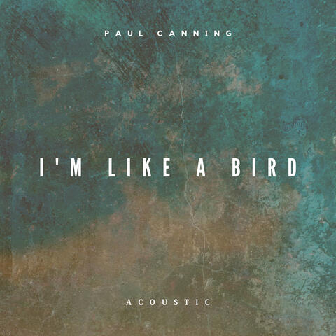 I'm Like a Bird