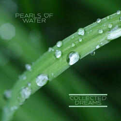 Pearls of Water