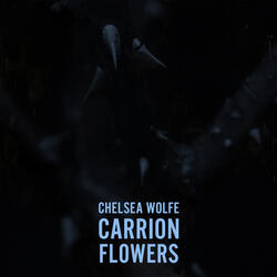 Carrion Flowers