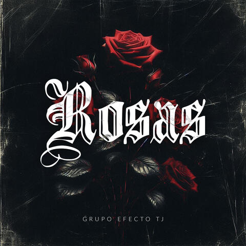 Rosas