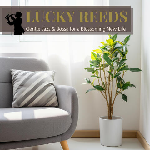 Gentle Jazz & Bossa for a Blossoming New Life