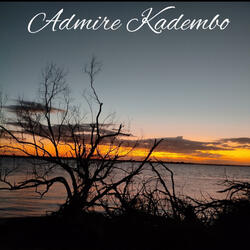 Admire Kadembo