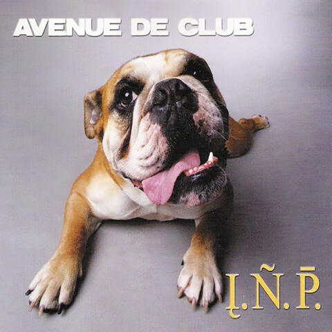 Avenue De Club
