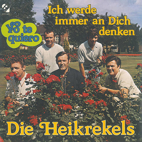 Ich Werde Immer An Dich Denken