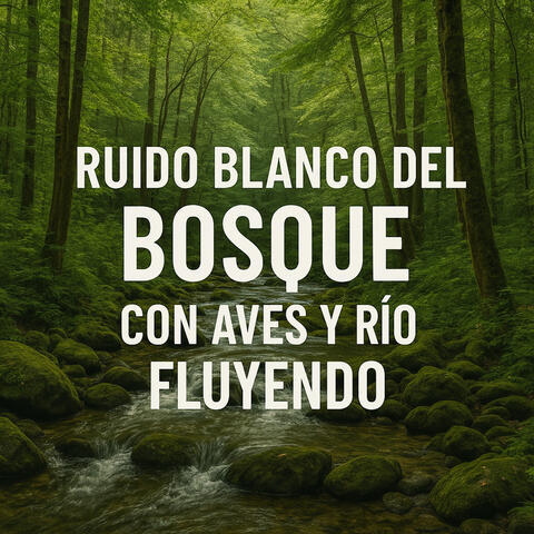 Ruido blanco del Bosque con Aves y Río Fluyendo