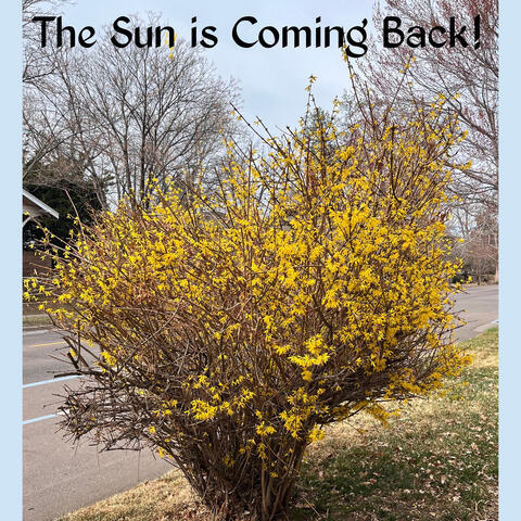 The Sun is Coming Back!