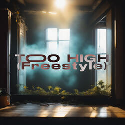 Too High(Freestyle)