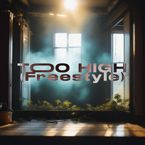 Too High(Freestyle)