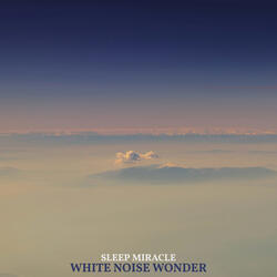 White Noise Wonder