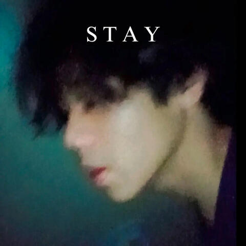 Stay