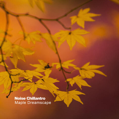 Maple Dreamscape