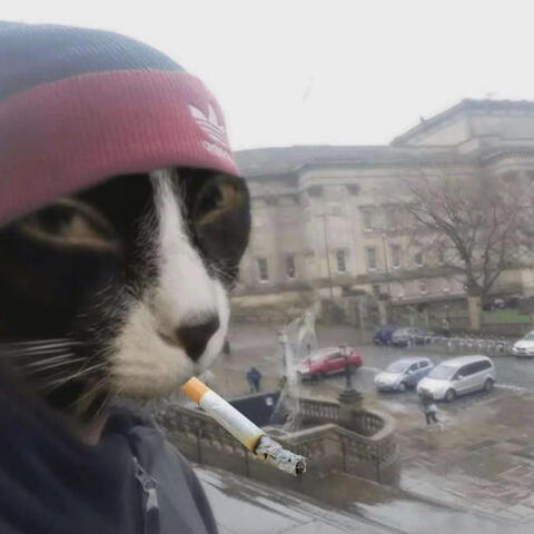 Fugitivo