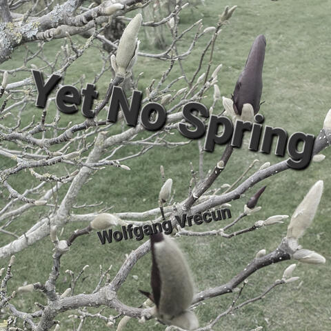 Yet No Spring